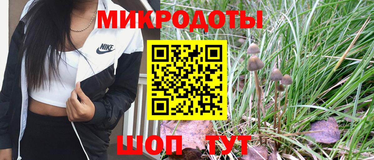 Псилоцибиновые грибы мицелий Конаково